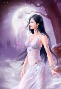 神奇宝贝:超能系格斗大师